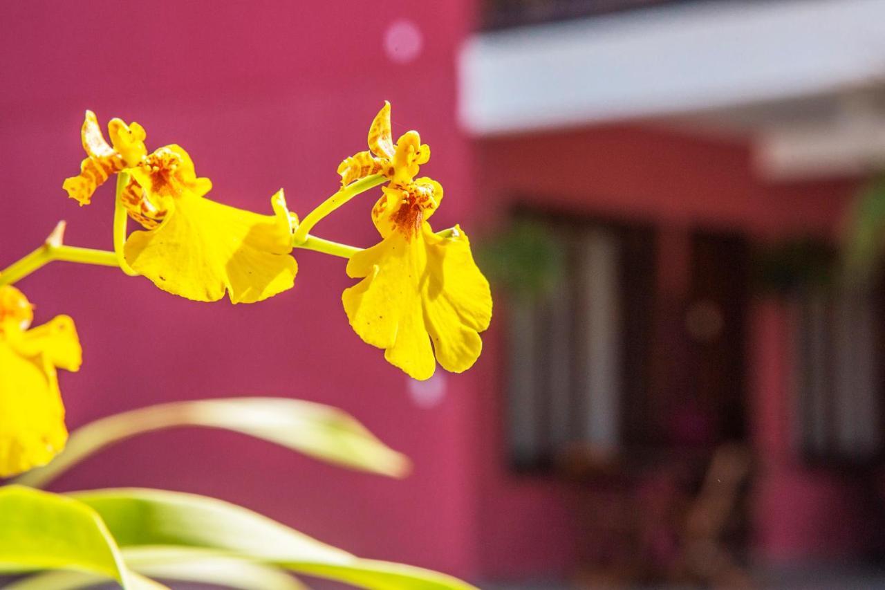 Suites Las Flores Маресіас Екстер'єр фото